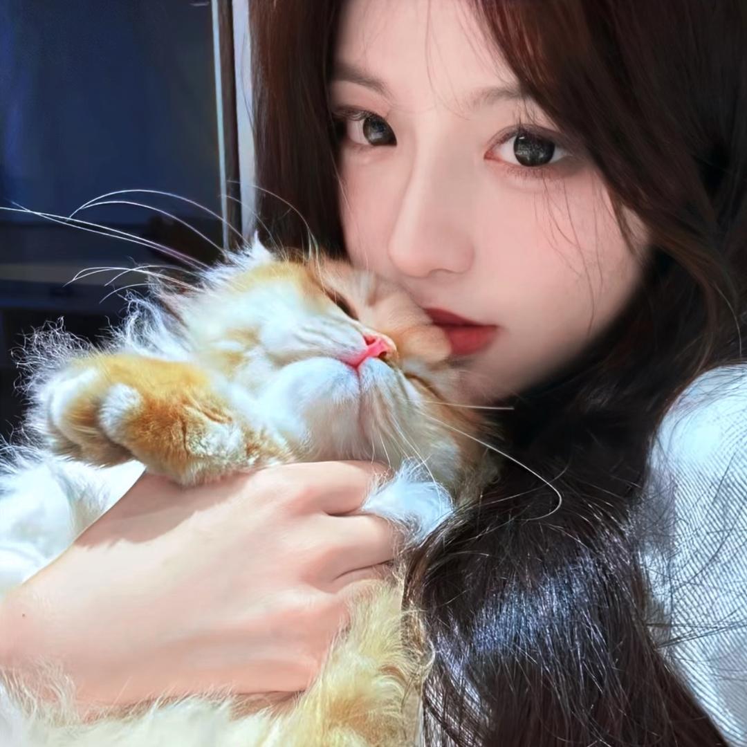 橙子的橙橙橙.🍊