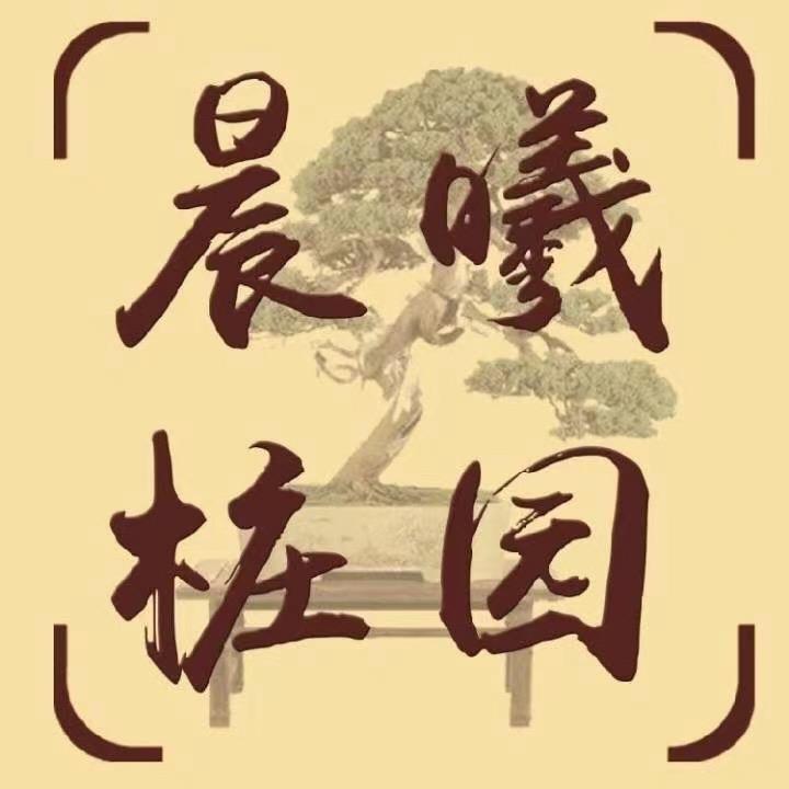 晨曦桩园