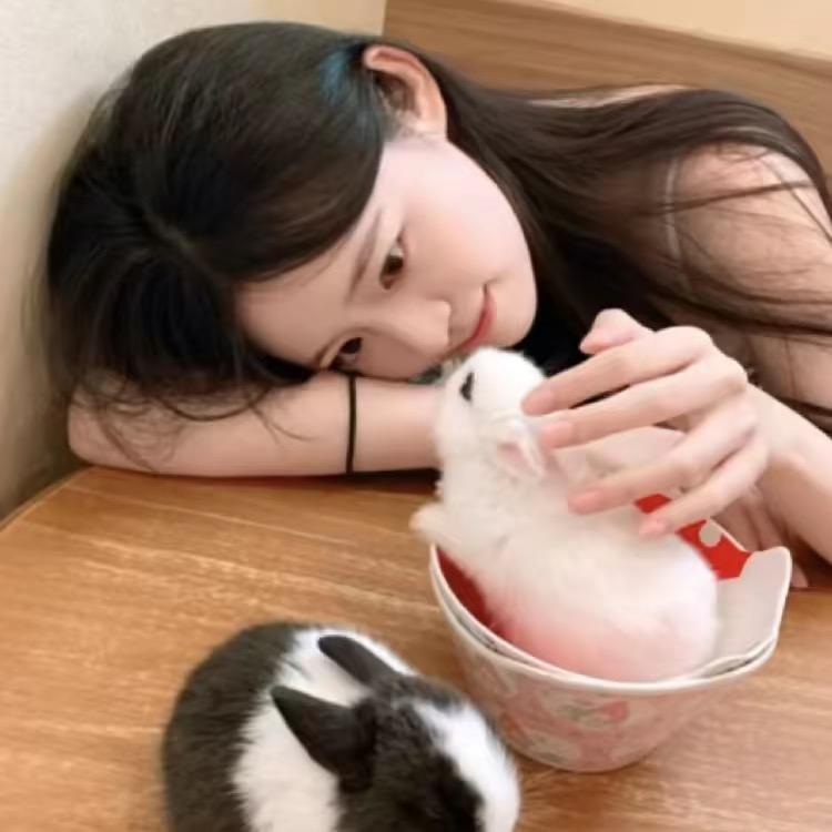 高高@