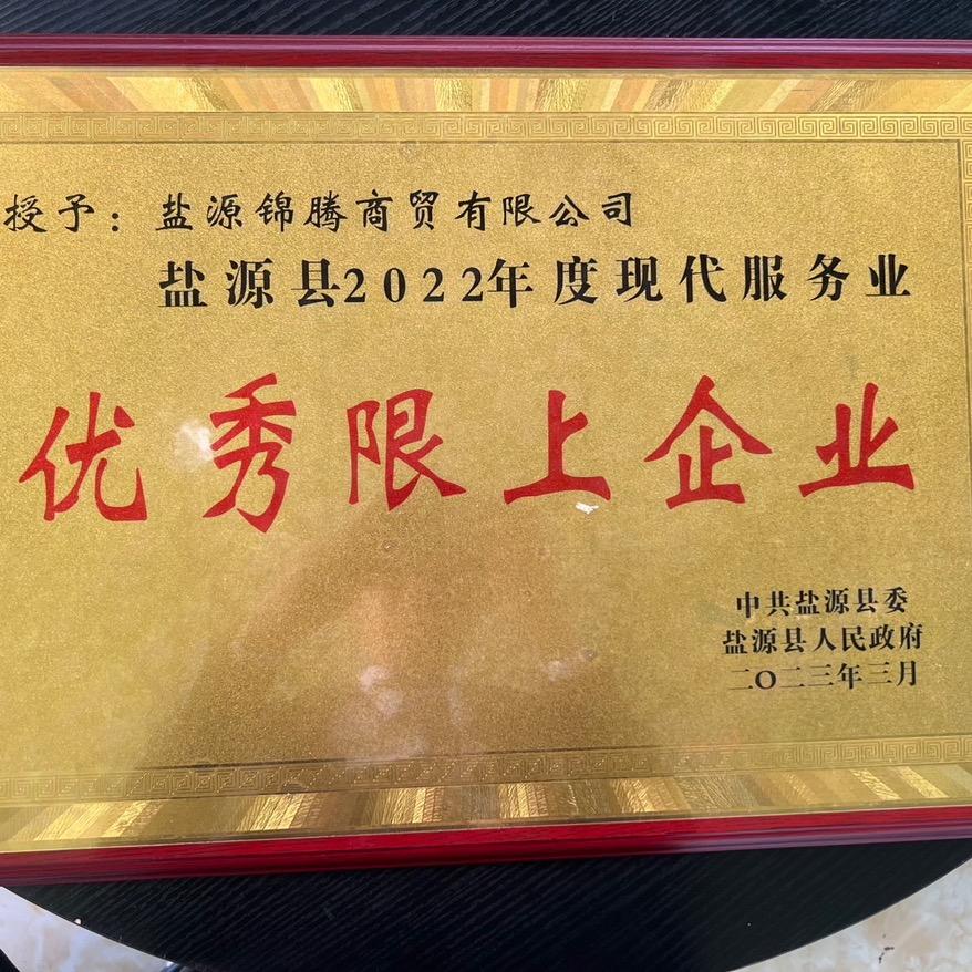 《重生之我在盐源锦腾当销售》