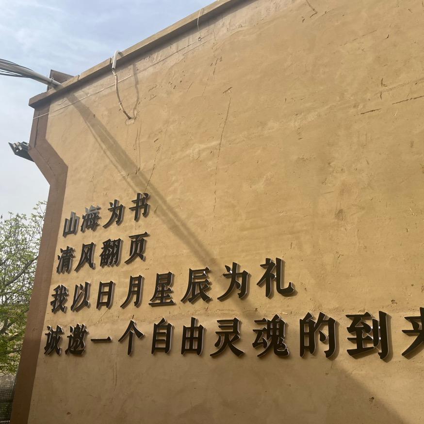 杨杨牵个线💗