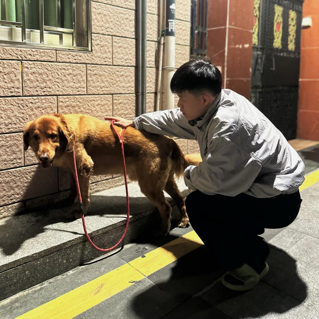 小菜在南油