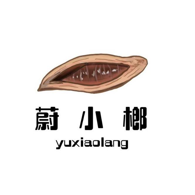 蔚小榔河南总代理