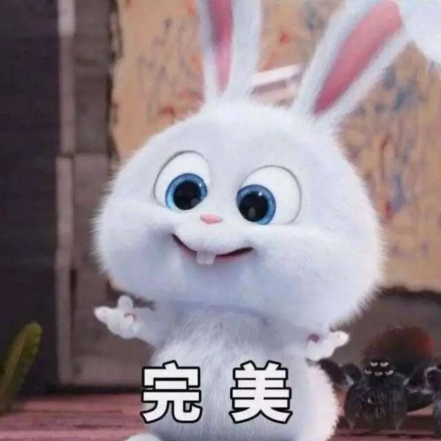 挖坑的兔子