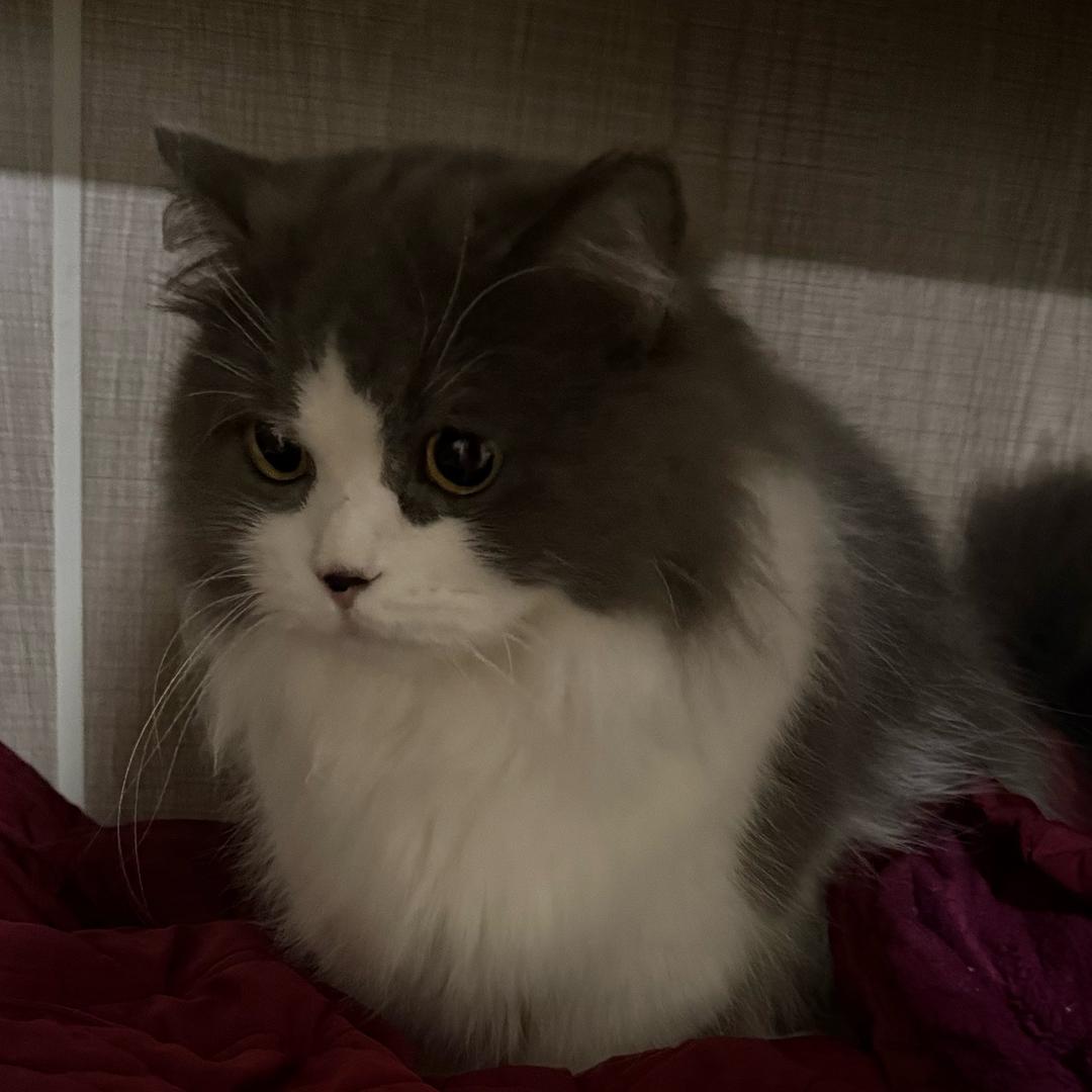 蟹老板很多钳💰