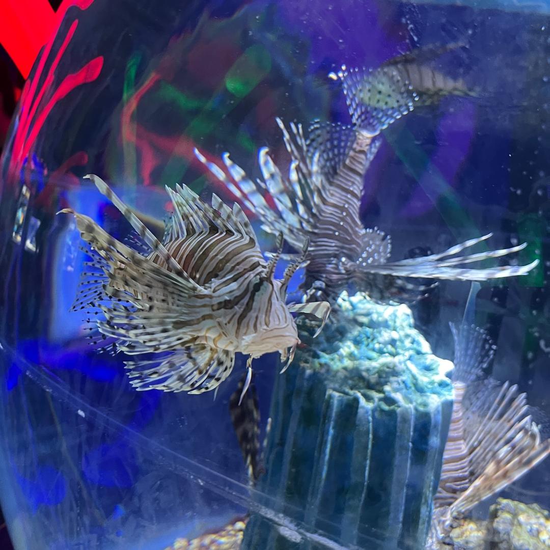 小拳拳锤你小胸口