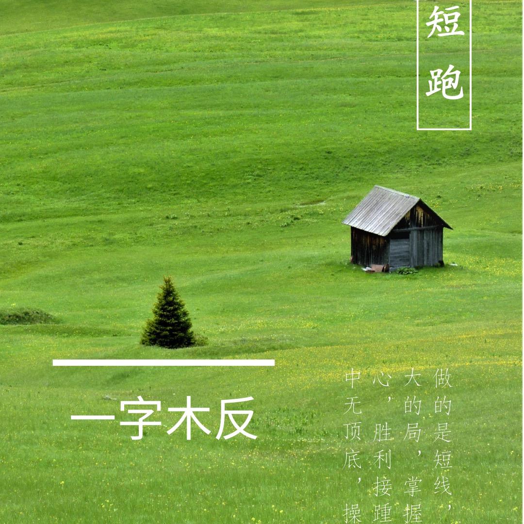 超哥打板(每日一板）