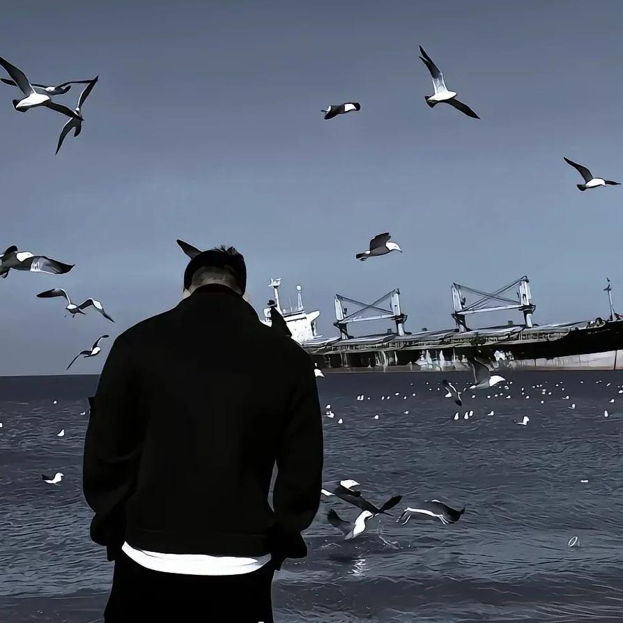 青狐网络—阳阳