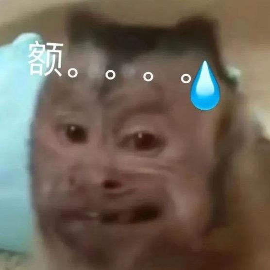 叫我大王💭