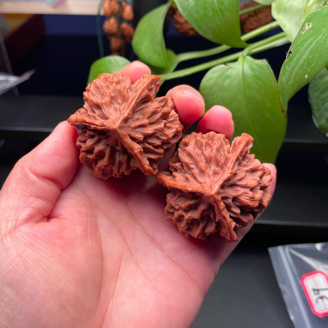 秦岭核桃精品名核