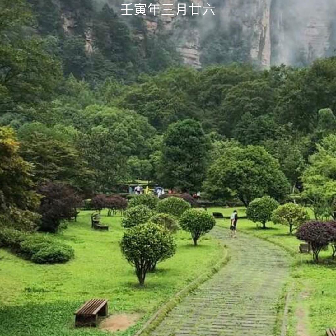 举