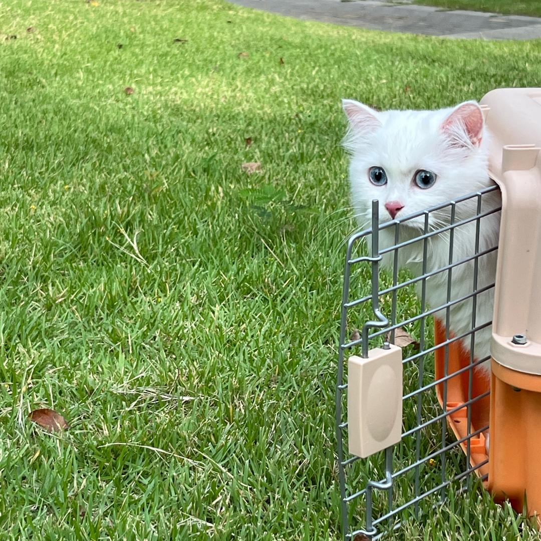 🌈波妞不听话😾