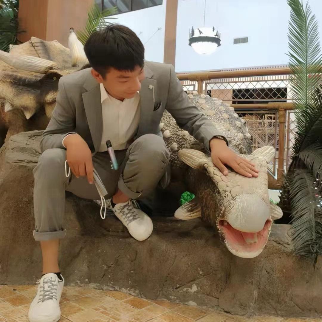 宁波健哥国产准新车