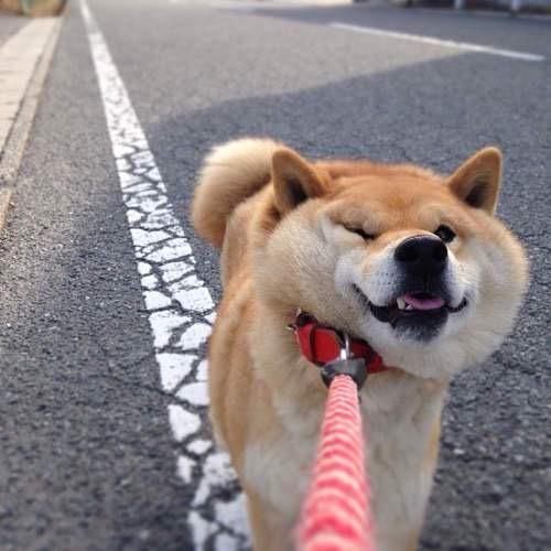 随＠_＠訫