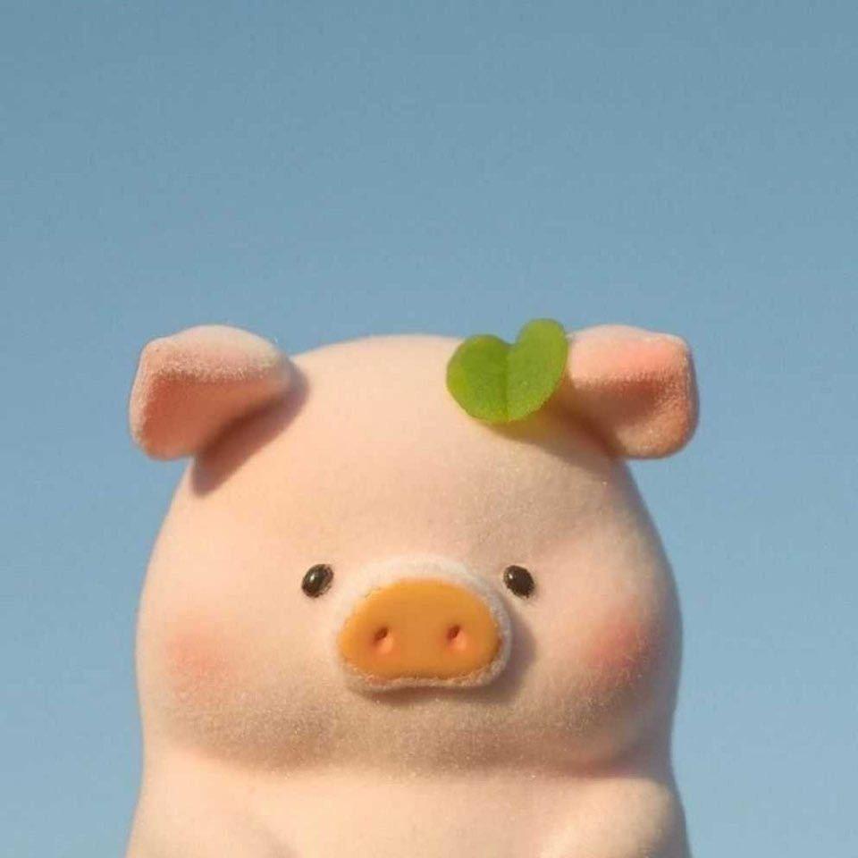 更幸福9ฅ