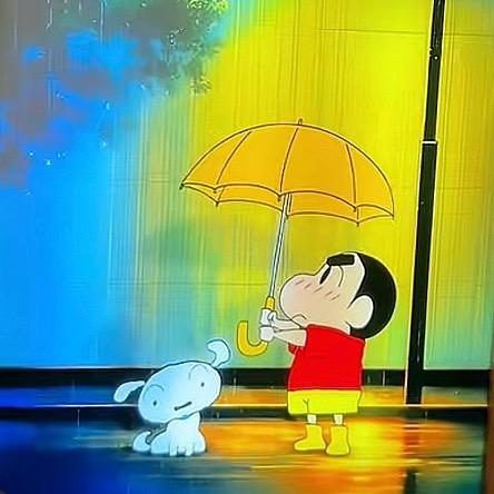 🐾有恃无孔先生