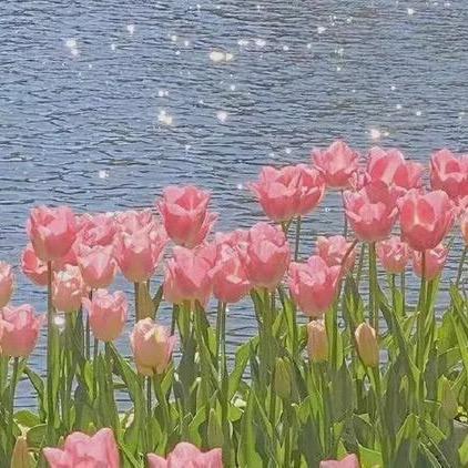 娇💐