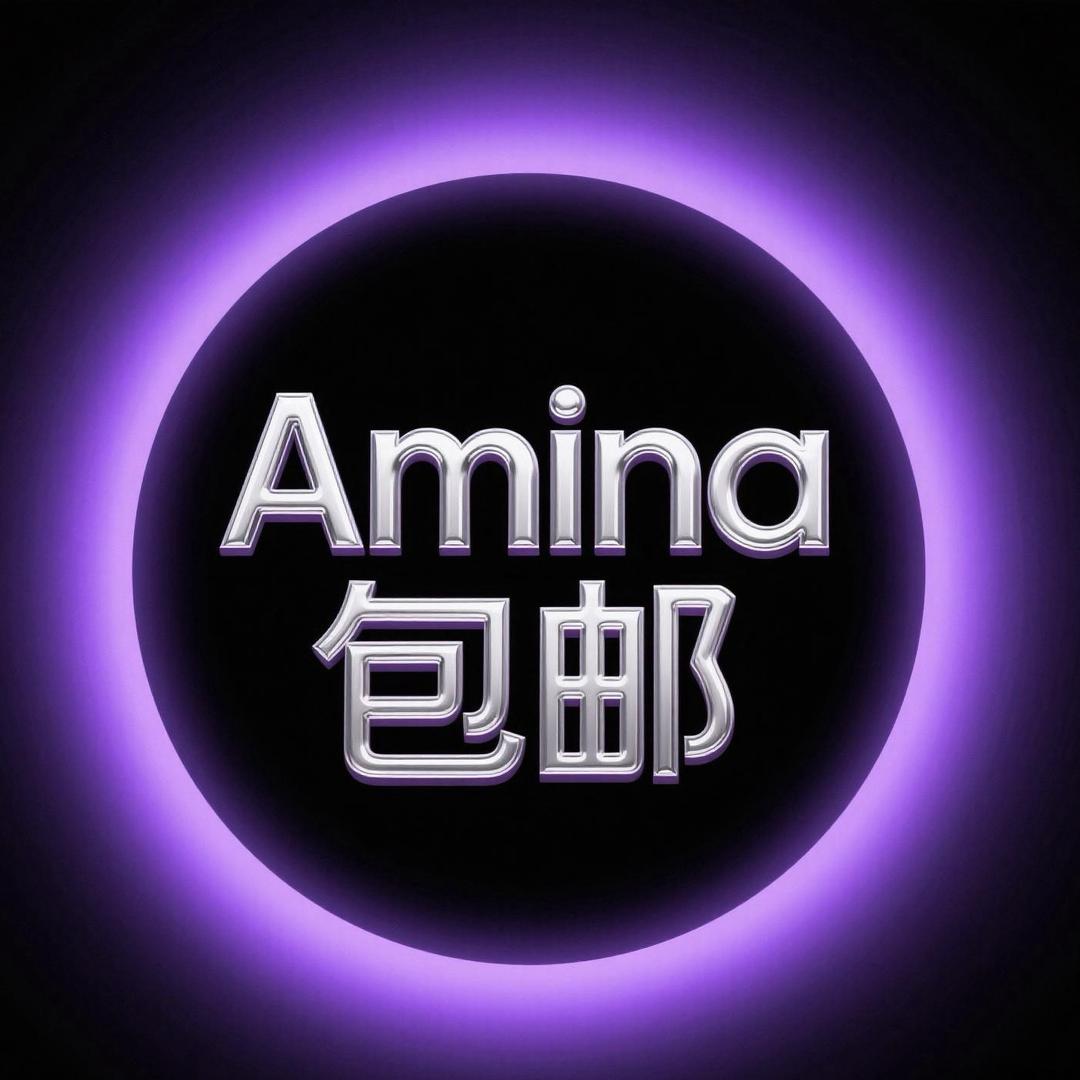 Amina包邮
