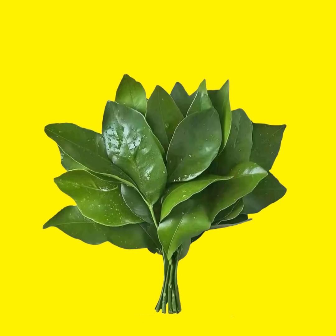 瑧悦美肤小雅