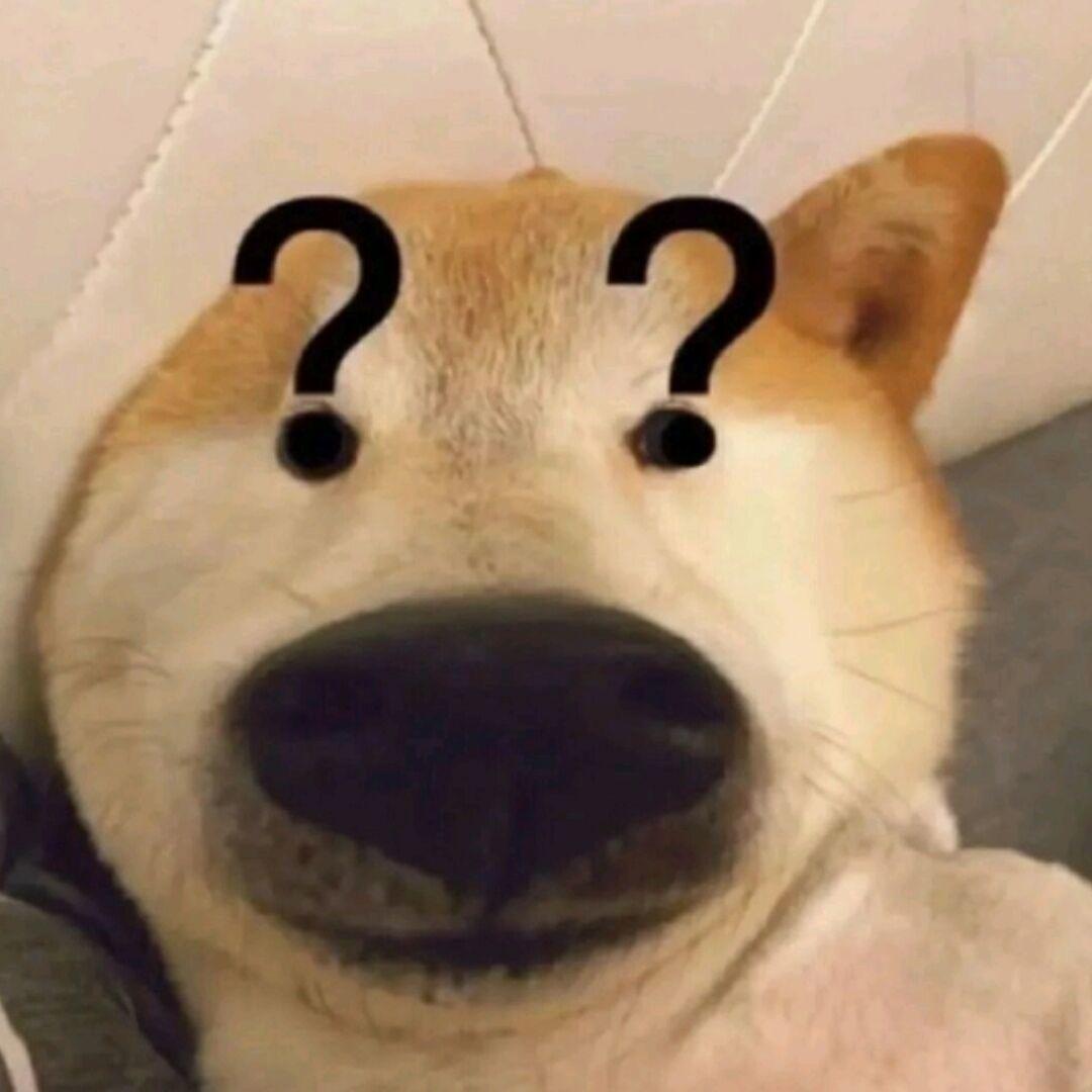 龙龙龙龙龙龙