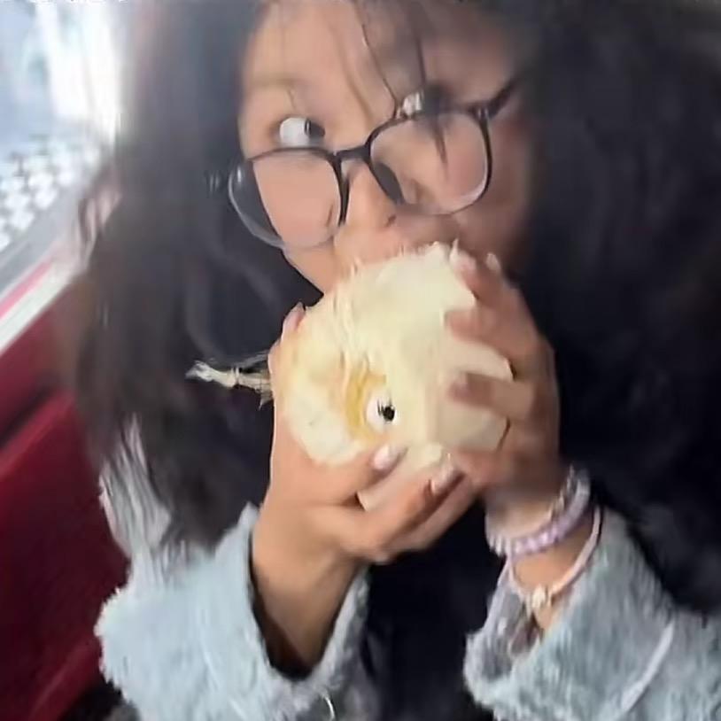 土豆教主（求饶型）