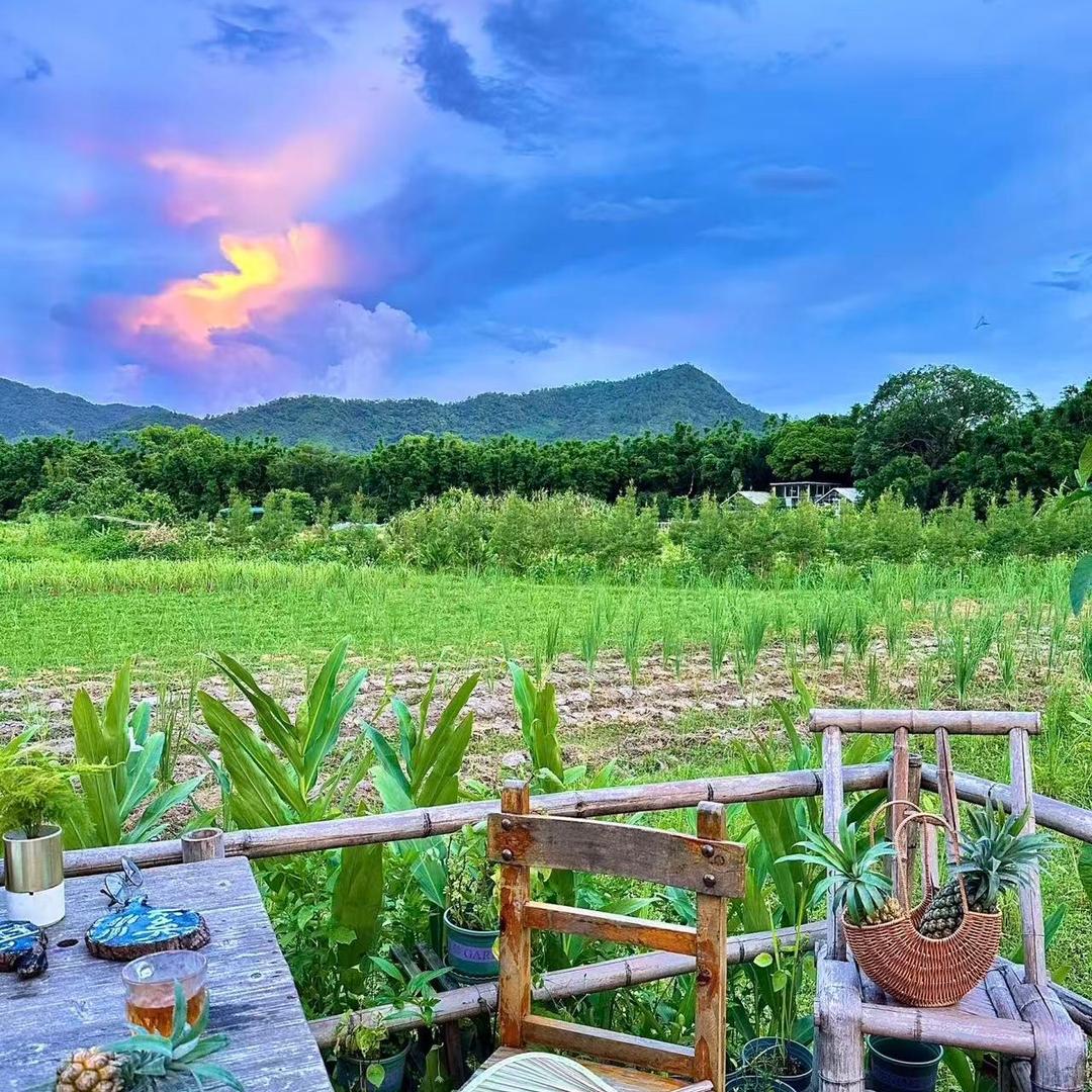 小美满生活hobby