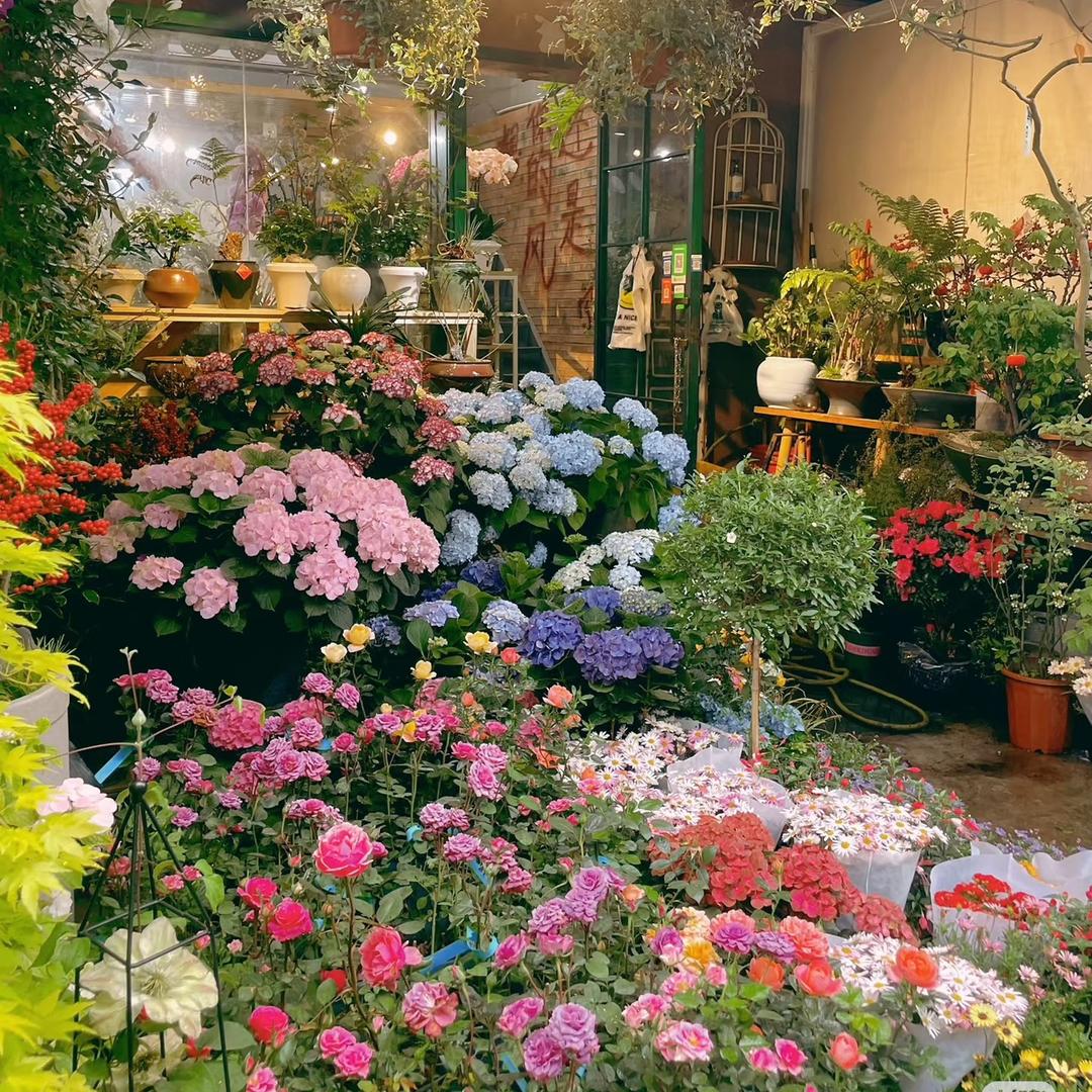 觅棠花漾