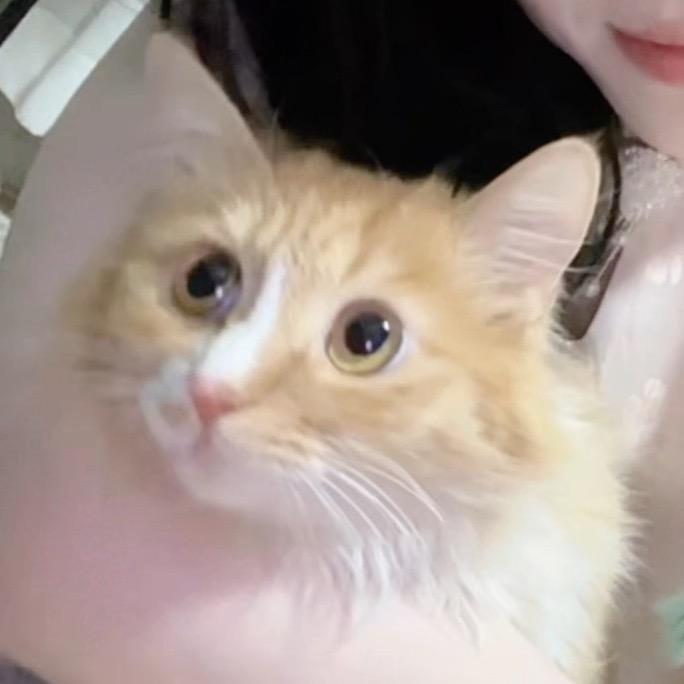 真理