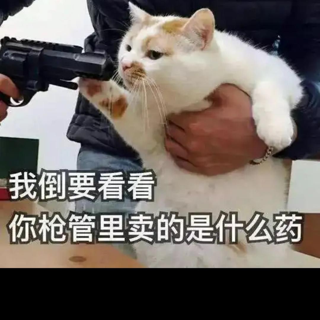 暴走的蜗牛-百合饭包杨士店