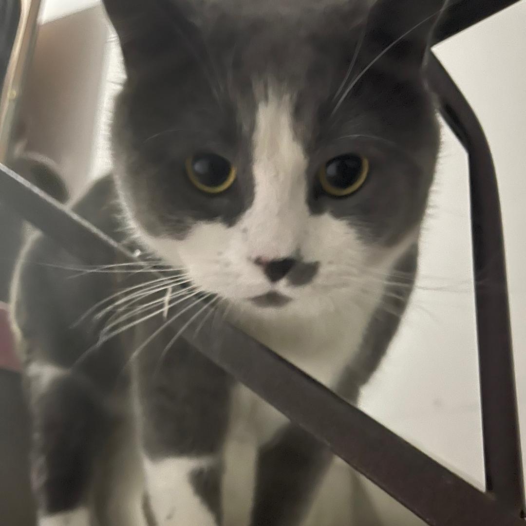 🌈🌈单调的情节丶