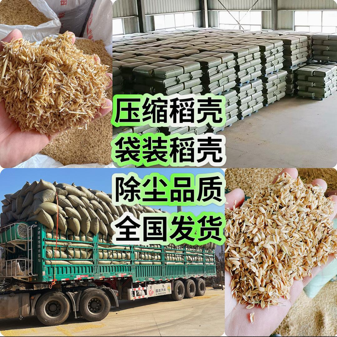 强仔稻壳（承蒙厚爱）