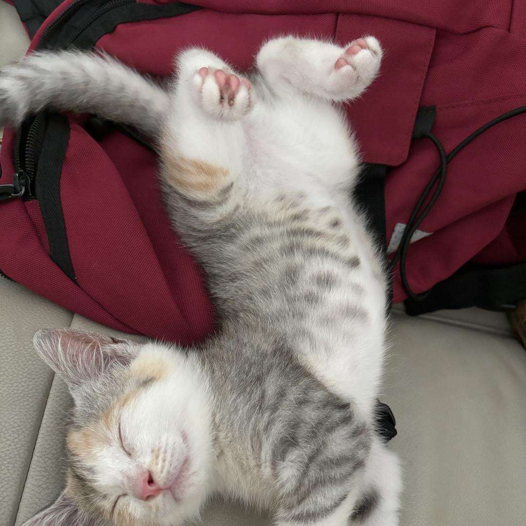 厦门市集美区控浅百货店（个体工商户）