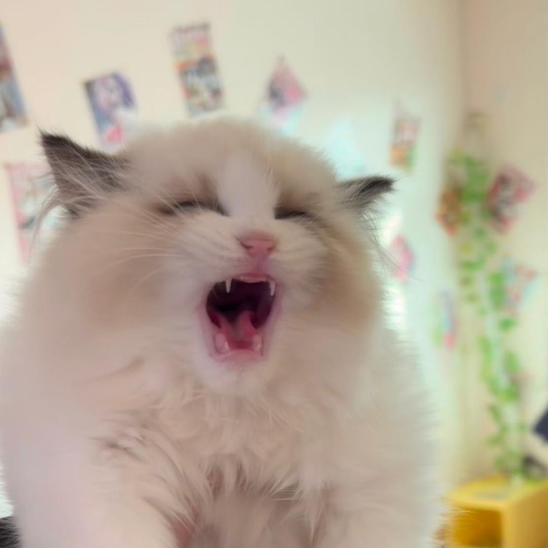 祝较瘦不瘦