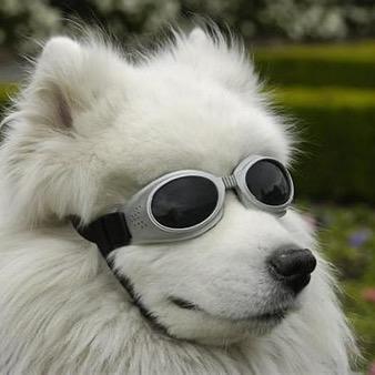 不吃鸡胸肉（想增肌并且减脂版）