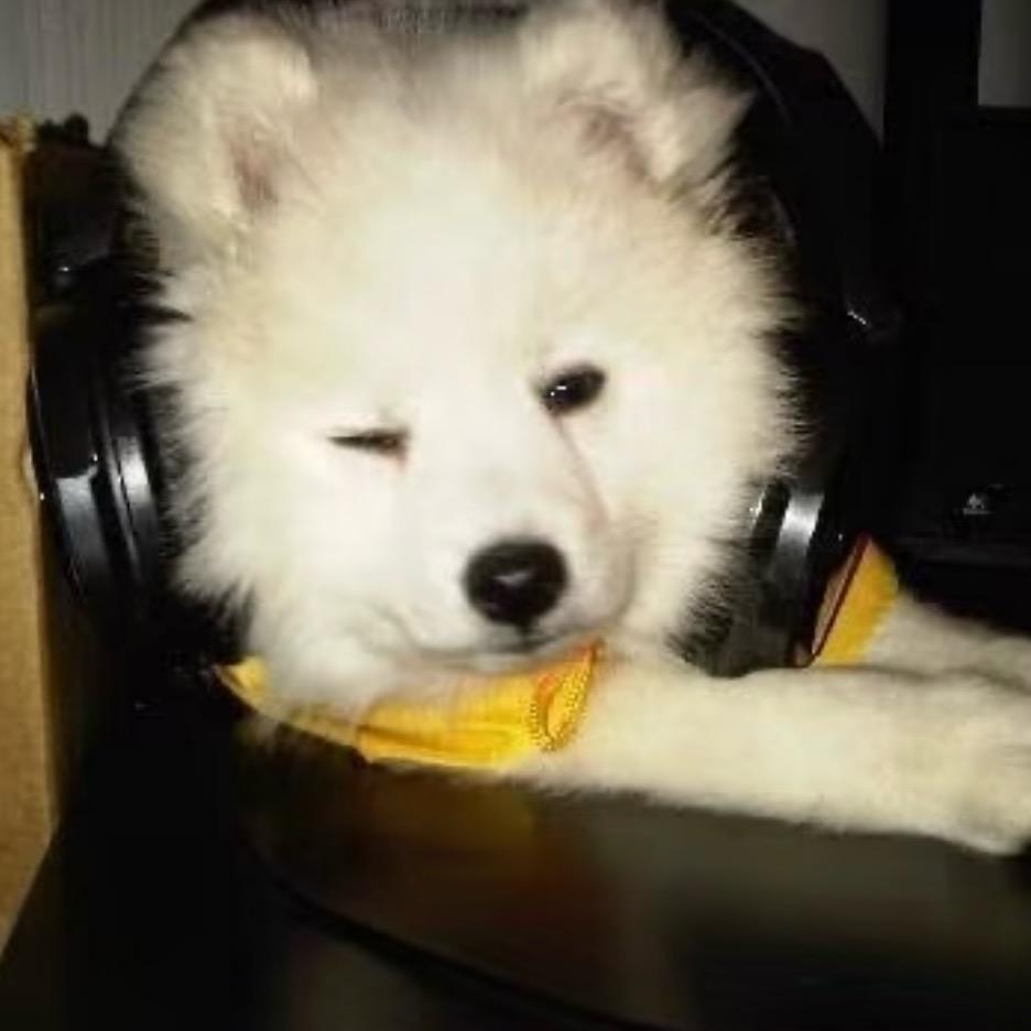 AAA大运重卡汪师傅（专跑国道）