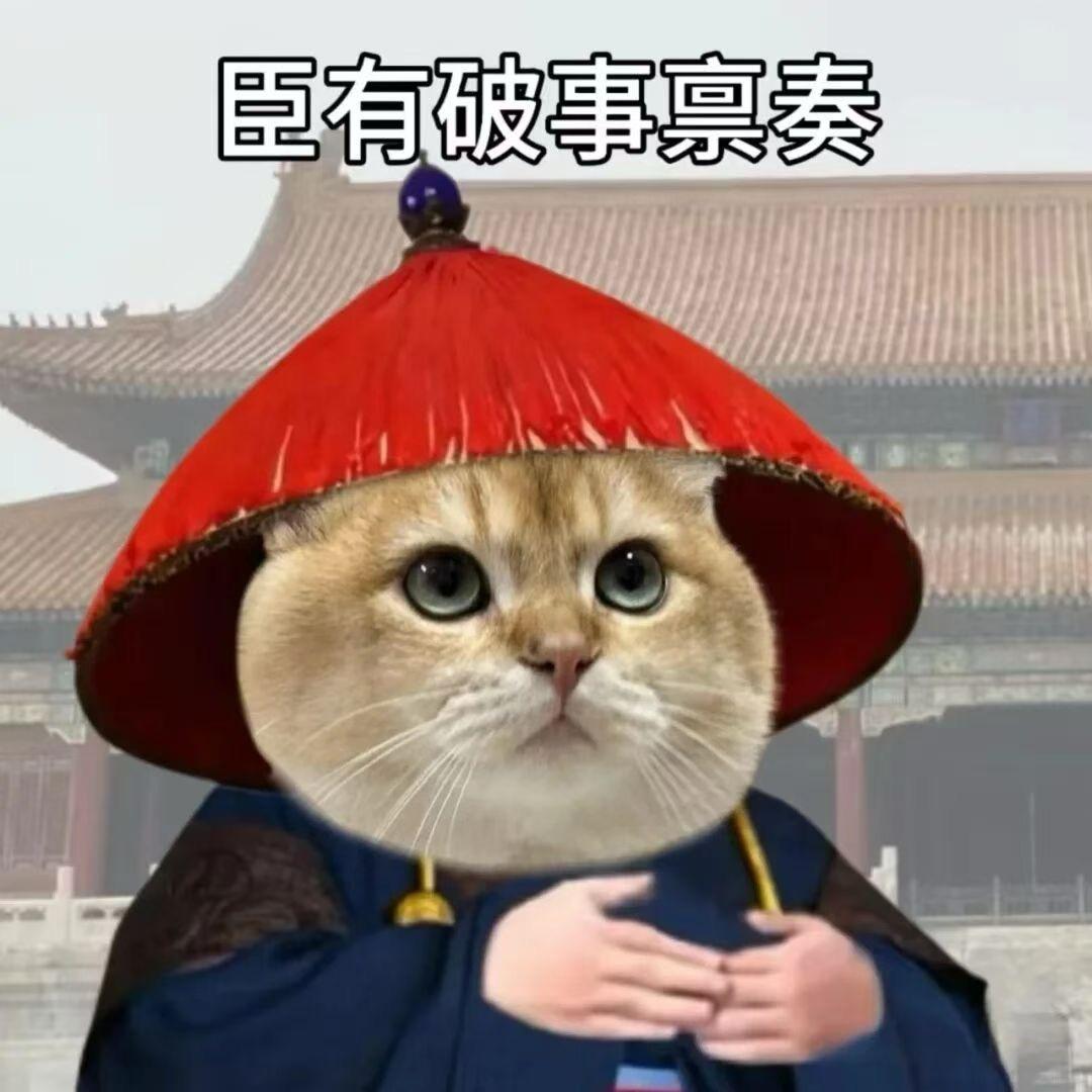 虾仁🍤