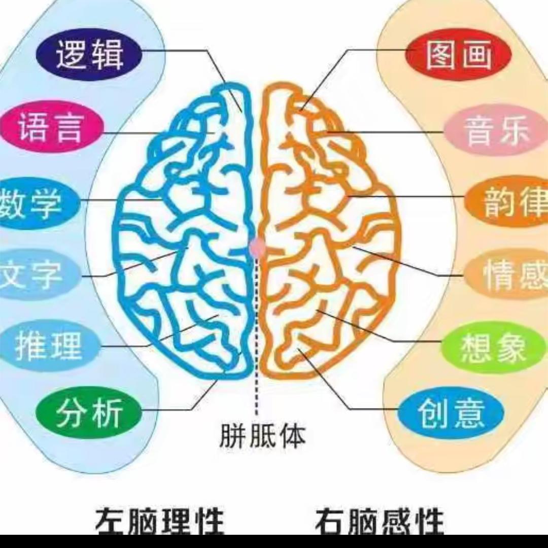 金慧铭最强大脑