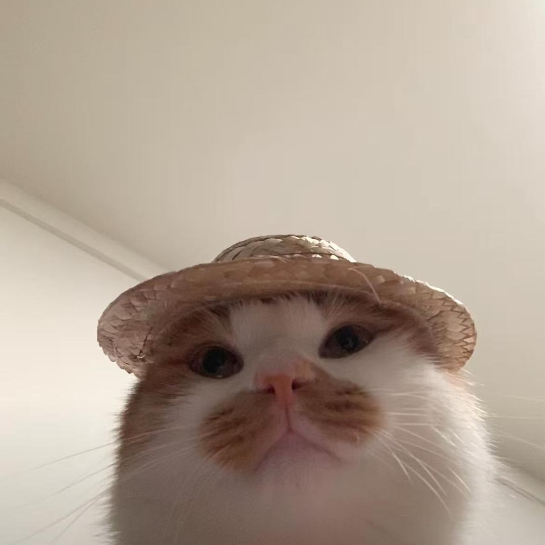 不是吧