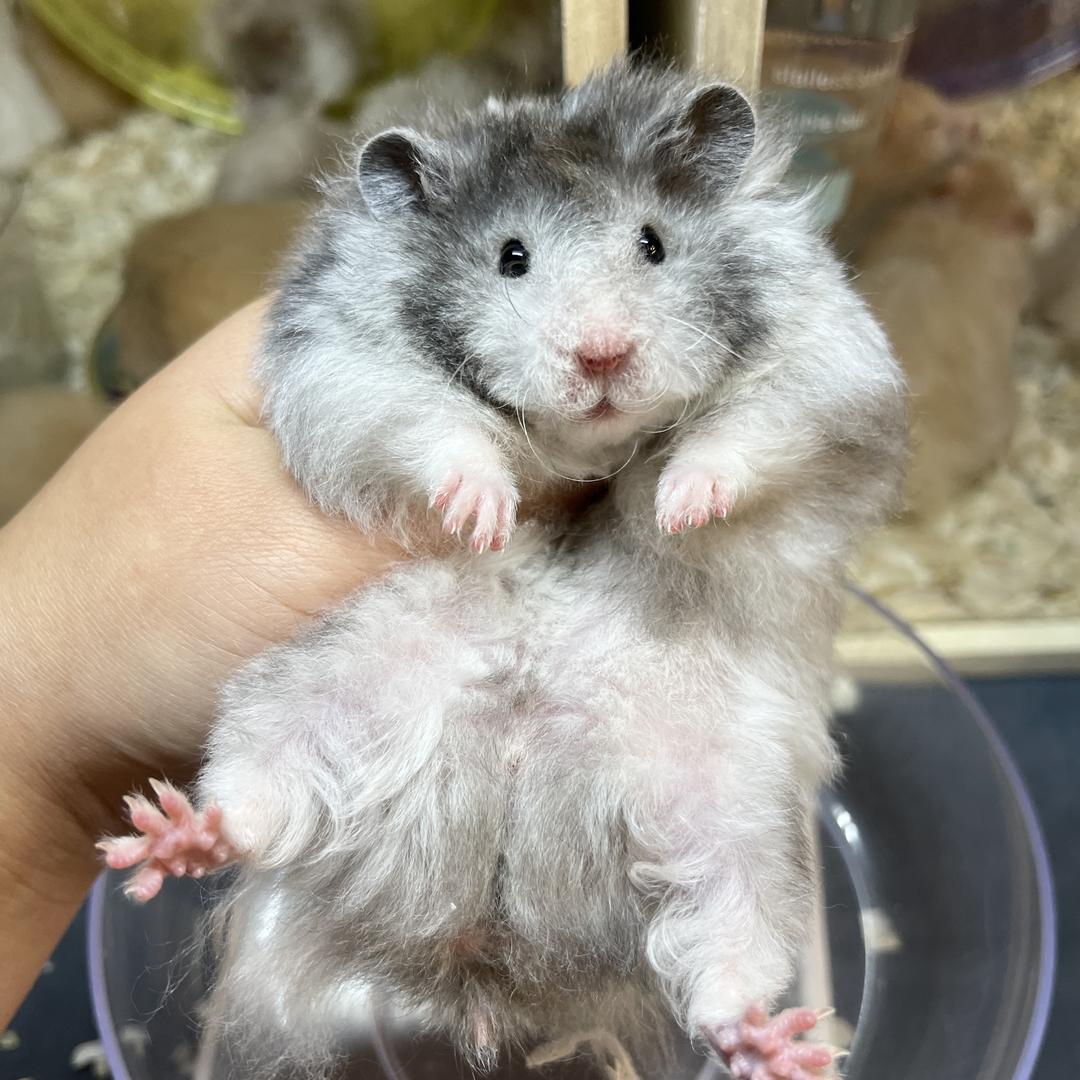 40102811950的头像