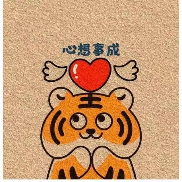 杨杨好物