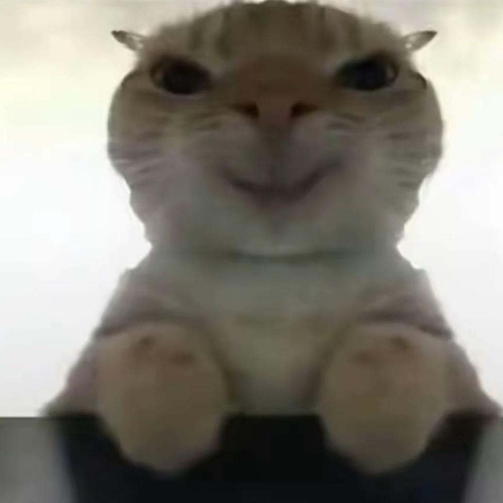 小等的租房日常🧸（团队招人）