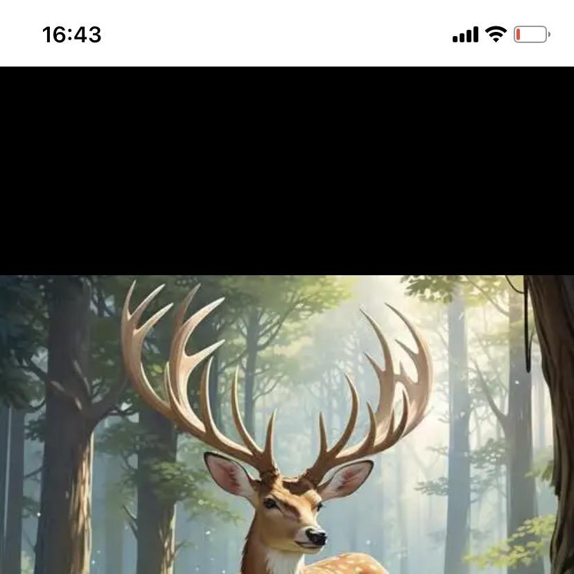 马皓杰专属网络创意屋