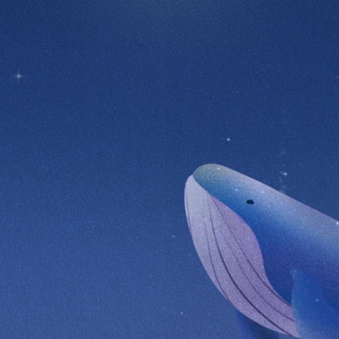 用户——