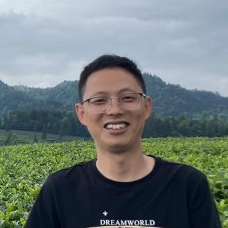 贵州绿茶大雷