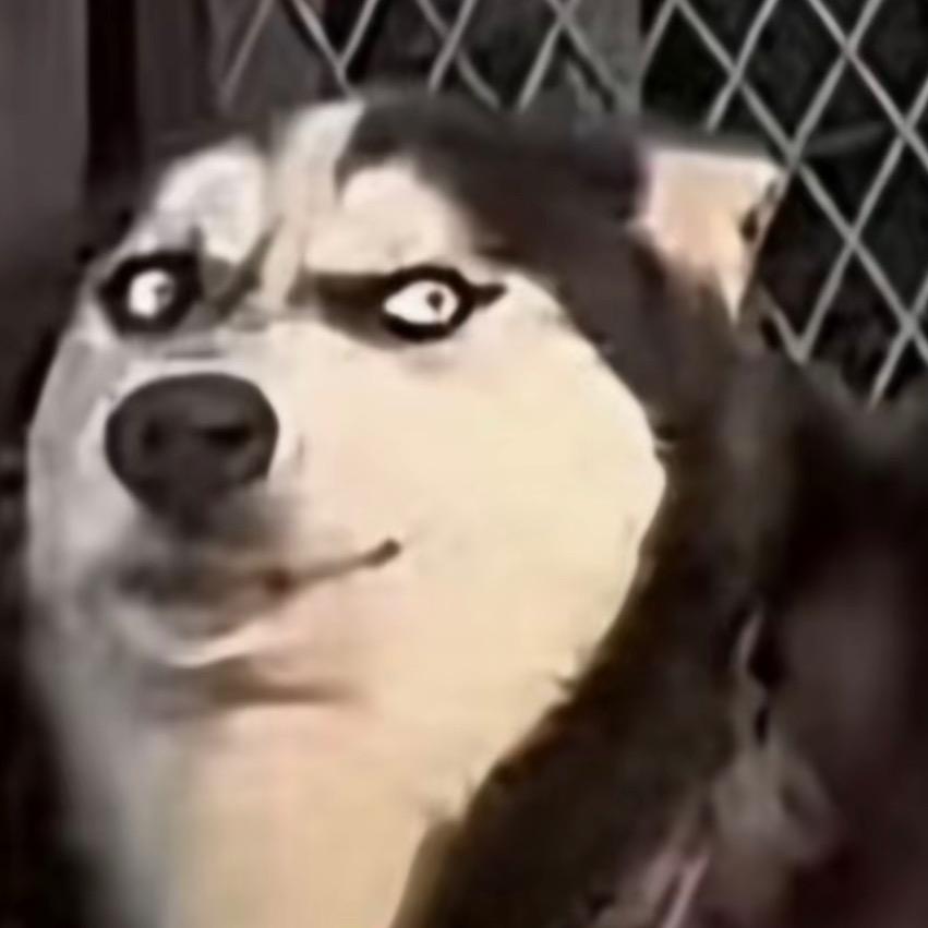 去码头整点薯条🍟