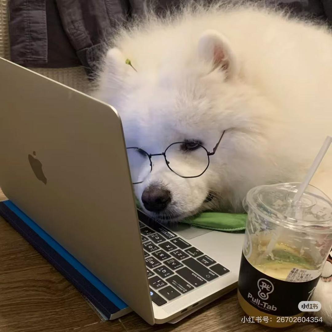 大雄爱摆烂