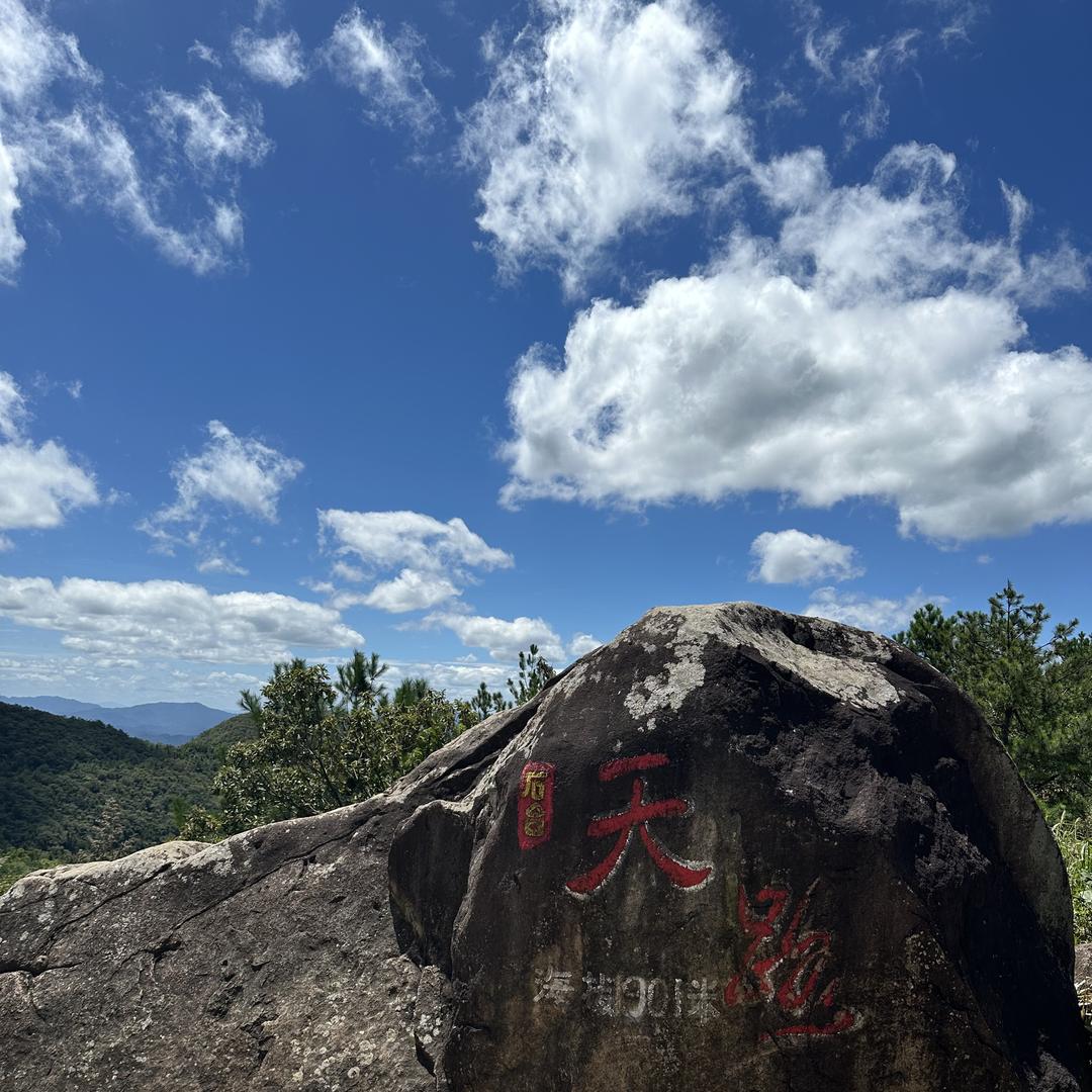 蛰锦初中生必读图书店