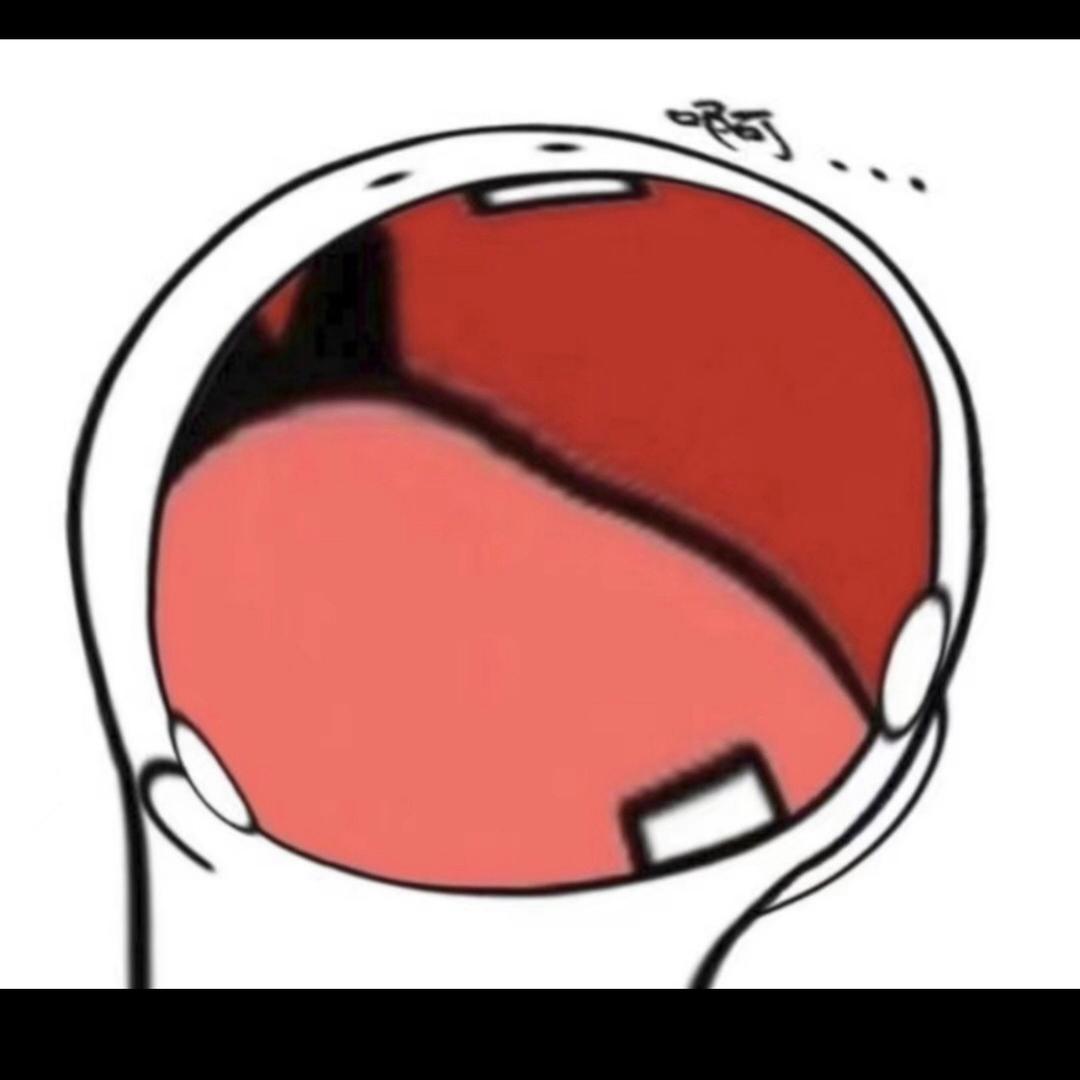 肥肥公主