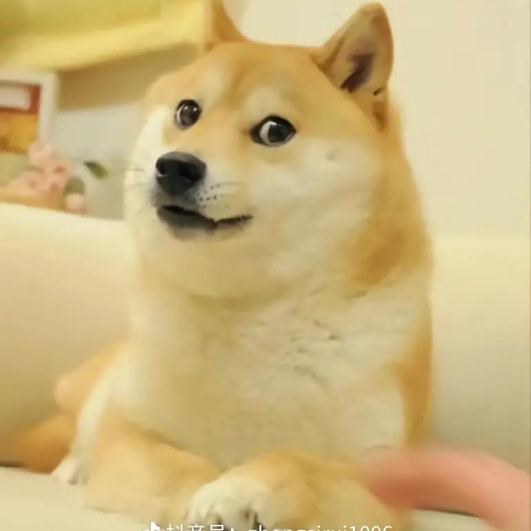 嗨皮go 🥃