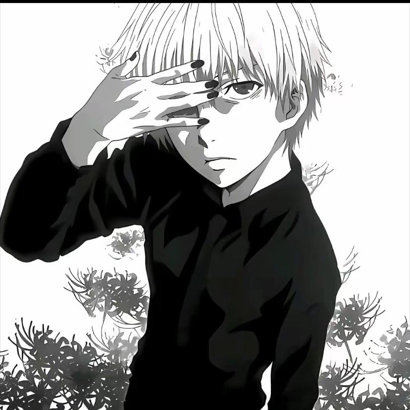 hh（三角洲行动）